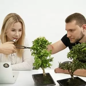 social elite praktyki