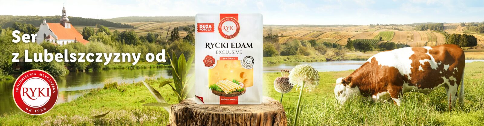 Przykład reklamy Lidla wykorzystującej psychologiczne mechanizmy reklamy - reguła podobieństwa