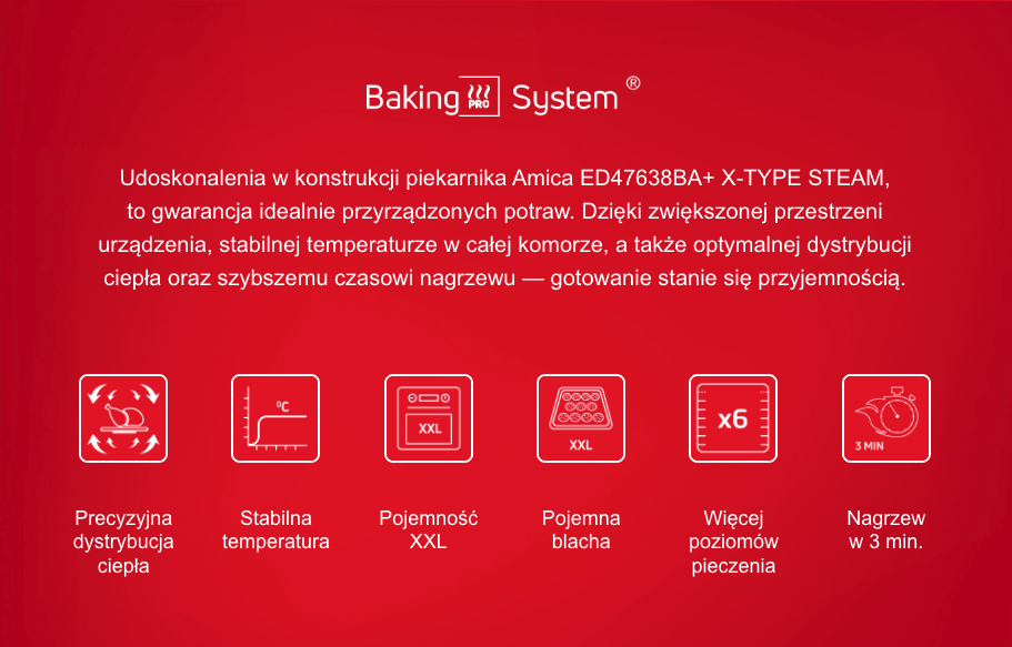 przykład szczegółowego opisu produktu firmy Amica